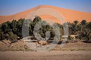 Oasis in Hassilabied, Erg Chebbi, Moroco photo