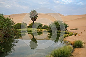 Oasis of Huacachina, Ica region, Peru.