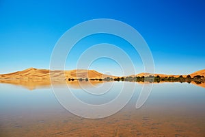 Oasis lake in Sahara desert, Merzouga, Africa