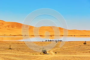 Oasis lake in Sahara desert, Merzouga, Africa photo