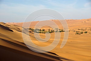 Oasis in Libyan desert