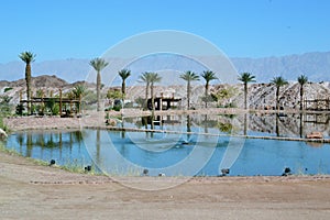 Oasis next to Model of Tabernacle, tent of meeting in Timna Park, Negev desert, Eilat, Israel