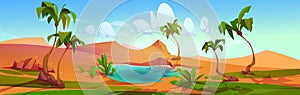 Oasis with palm trees and lake in desert