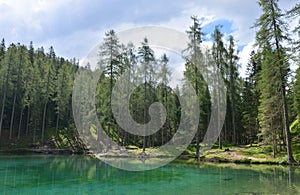 An oasis of peace on the lake in the forest