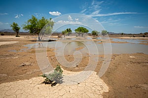 Oasis from Rain water in Desert