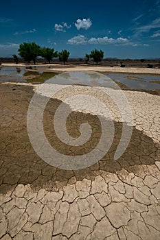 Oasis from Rain water in Desert