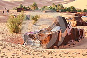 Oasis in Sahara