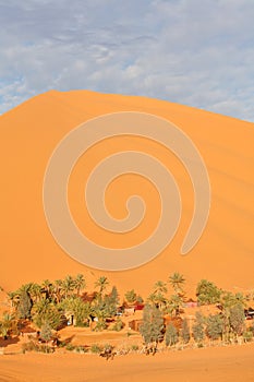 Oasis in Sahara desert