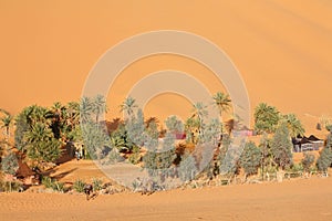 Oasis in Sahara desert