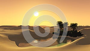 Oasis in the sandy desert