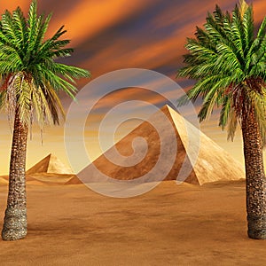 Oasis in the sandy desert