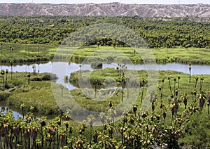 Oasis of Santiago viewed from an overlook on the adjacent road.