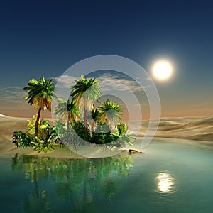 Oasis. sunset in the desert.