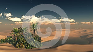 Oasis at sunset in a sandy desert