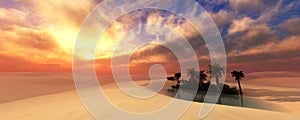 Oasis at sunset in a sandy desert