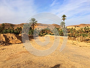 Oasis of Taghit