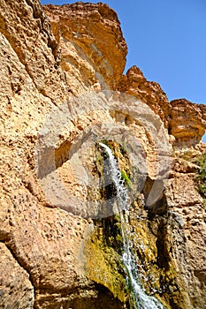 Oasis Tamerza