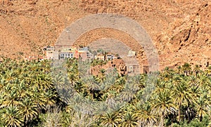 Oasis of the Todra River at Tinghir, Morocco