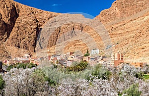 Oasis of the Todra River at Tinghir, Morocco