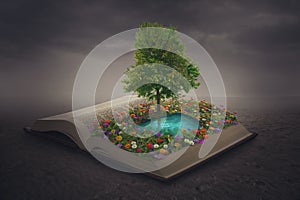 Oasis on top of a book