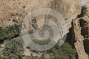 Oasis in tunisia