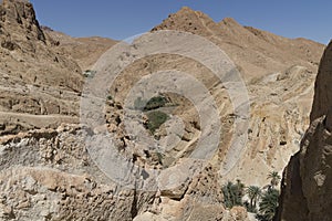 Oasis in tunisia