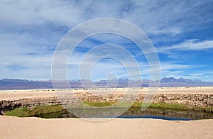 Oasis in Valle de la Luna, Moon valley in San Pedro de Atacama desert