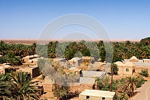 Oasis village in Kavir desert in Iran.