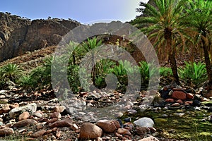 The oasis Wadi Daerhu on the island of Socotra Yemen