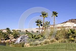 Oasis with waterfall and palm trees