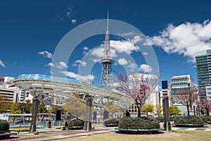 Oasis21, Nagoya TV tower, and Odori park with cherry trees