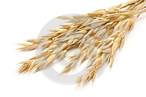 Oat