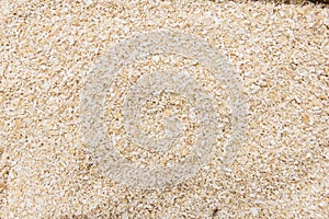 Oat bran. Closeup of grains, background use.