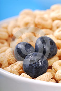 Oat cereal with blueberries
