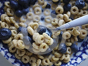 Oat Cereal and Blueberries