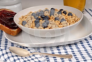 Oat cereal with blueberries, toast with raspberry jam