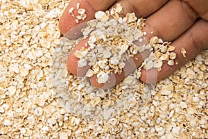 Oat cereal flake. Person with grains in hand. Macro. Whole food.