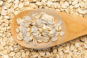 Oat cereal grain. Grains in wooden spoon. Close up.