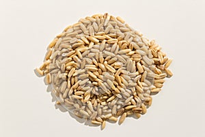 Oat cereal grain. Pile of grains. Top view.