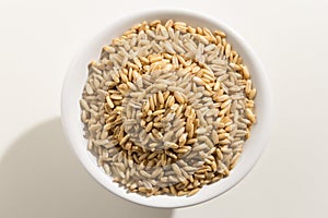 Oat cereal grain. Top view of grains in a bowl. White background