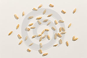Oat cereal grain. Top view of scattered grains.