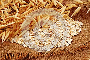 Oat ears and pile of oat rolled cereals on sackcloth