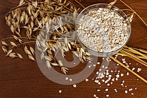 Oat ears stems and oat flakes in a bowl on a dark brown wood background. Top view. oat flakes small size grind. Copy space in