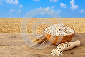Oat flakes in bowl with field on the background
