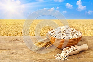 Oat flakes in bowl on nature background