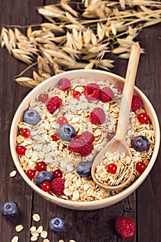 Oat flakes cereal