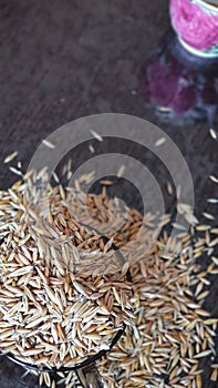 Oat grains in a cup