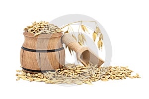 Oat grains with husk or hulls in wooden barrel