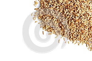 Oat groats