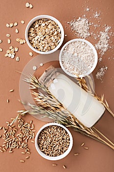 Oat milk, flour, dry flakes and whole grains. Set from organic oat products for vegetarian and healthy food